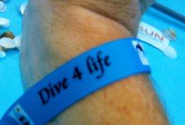 DE WARMSTE WEEK - STUDIO BRUSSEL -DIVE4LIVE